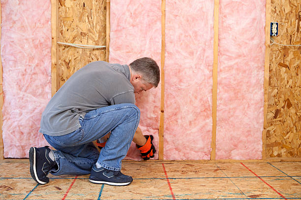 Reflective Insulation in Capitol View, SC