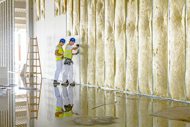 Best Insulation Air Sealing  in Capitol View, SC